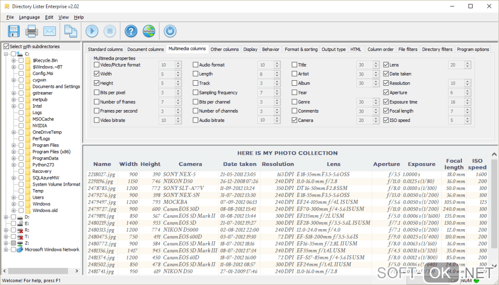 The appearance "Directory Lister"
