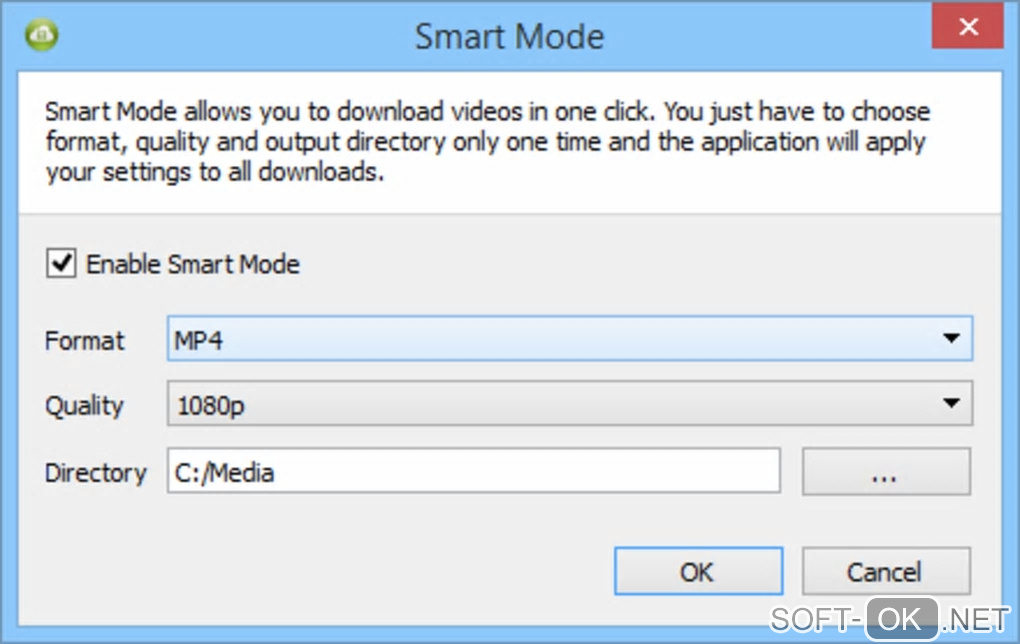 The appearance "4k Video Downloader"