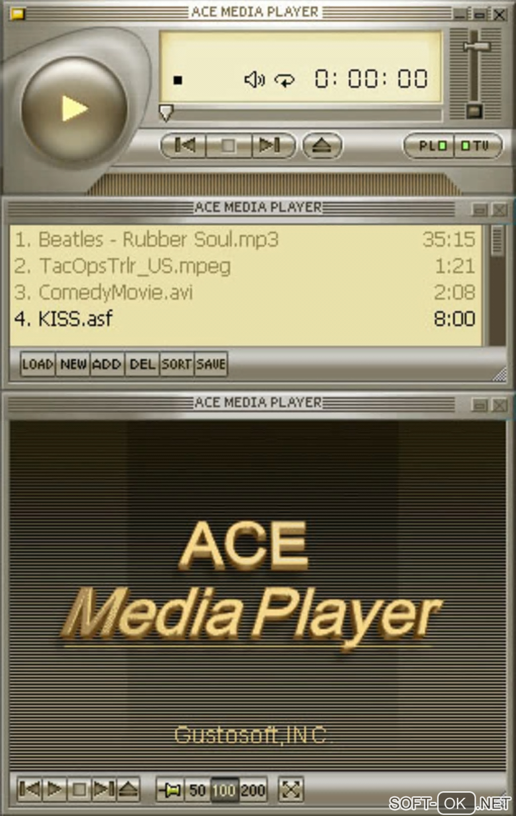 The appearance "Ace Media Player"