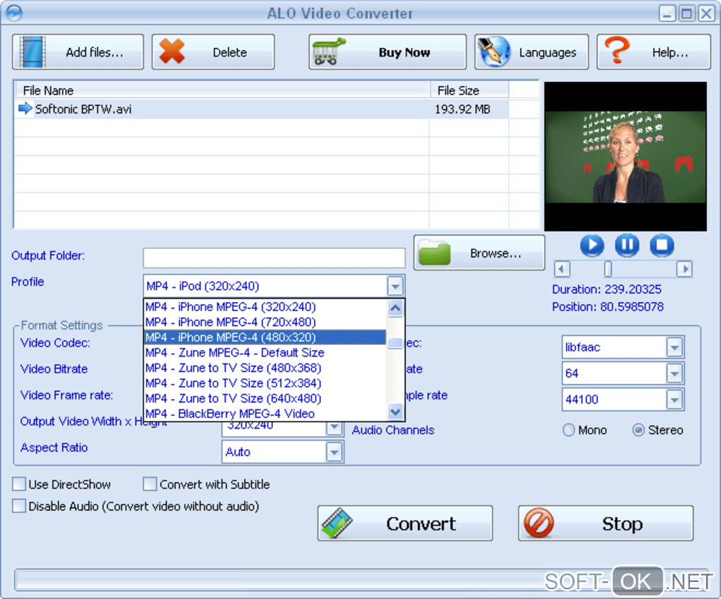 The appearance "ALO Video Converter"