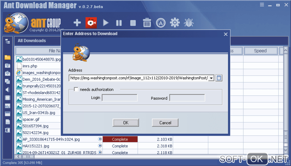 The appearance "Ant Download Manager and Video Downloader"