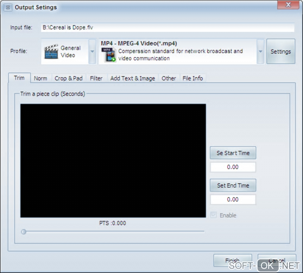 The appearance "Domino Video Converter Pro"