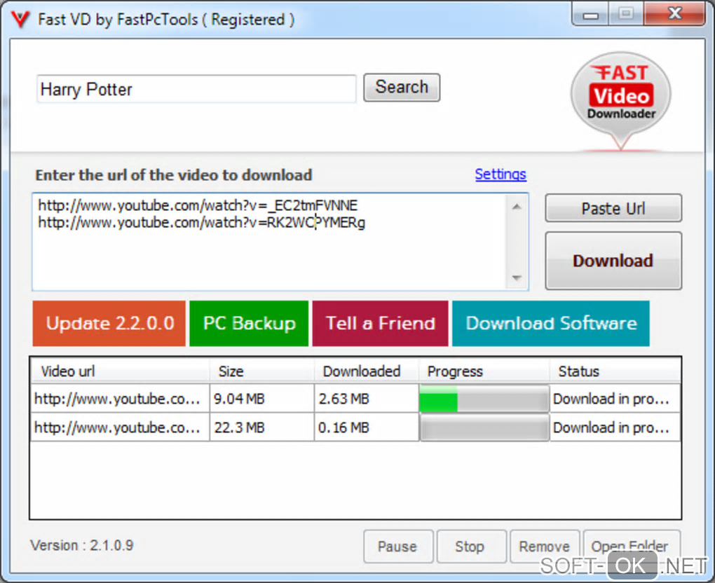 The appearance "Fast Video Downloader"