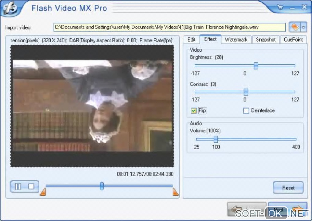 The appearance "Flash Video MX"