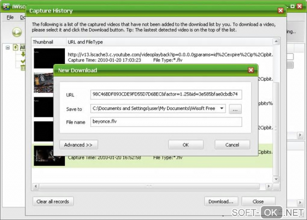 The appearance "iWisoft Free Video Downloader"
