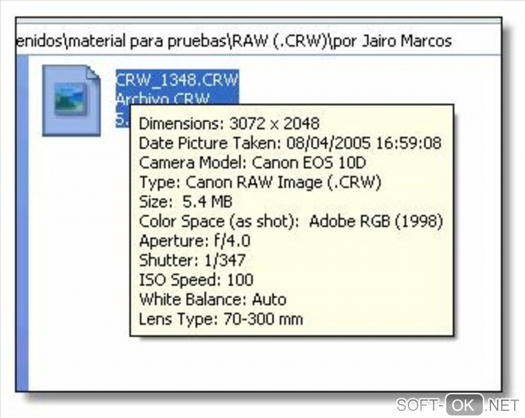 The appearance "Microsoft RAW Image Thumbnailer and Viewer"
