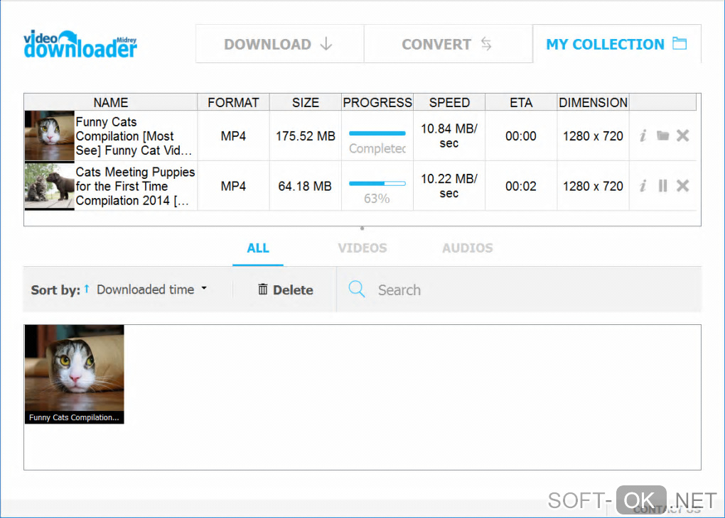The appearance "Midrey Video Downloader"