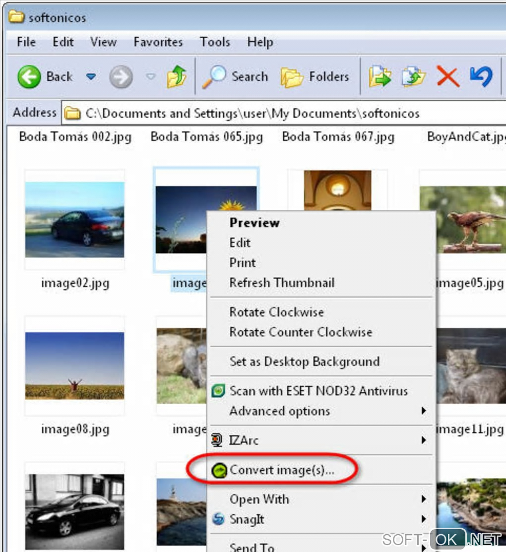 The appearance "Morz Image Converter"