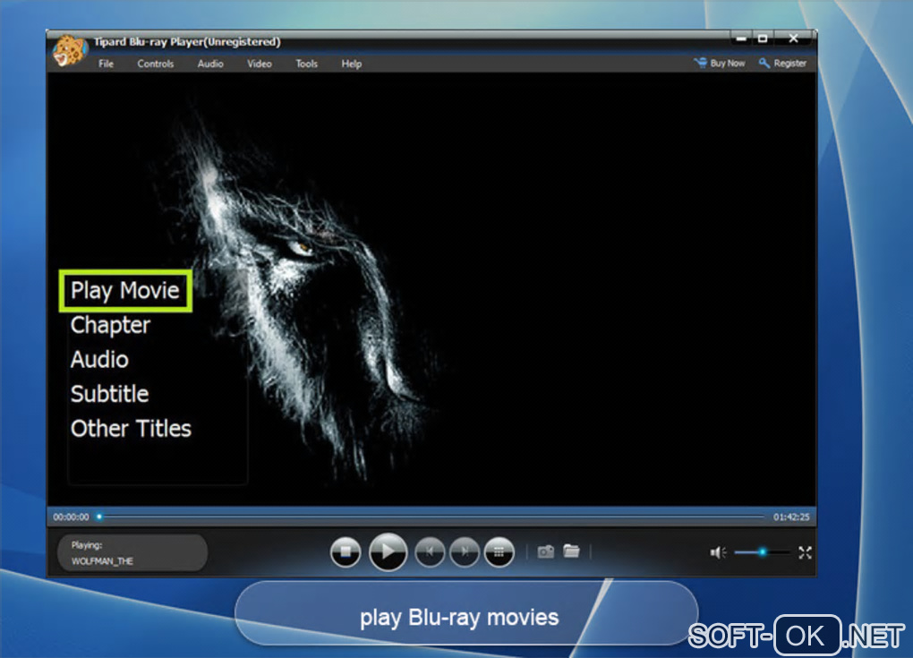 The appearance "Tipard Blu-ray Player Software"