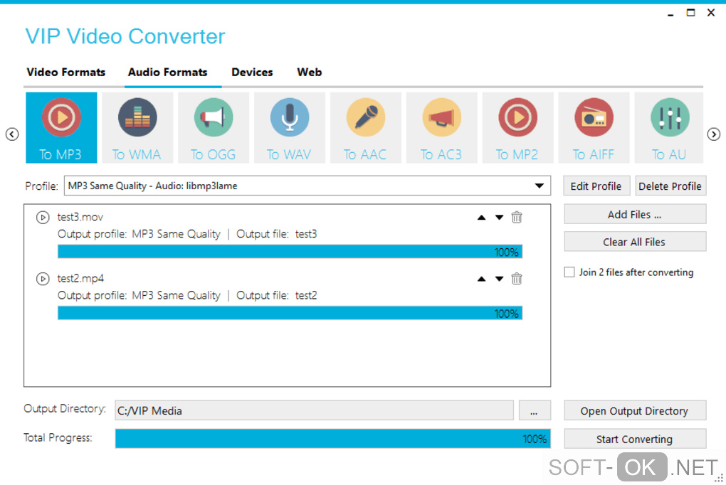 The appearance "VIP Video Converter"