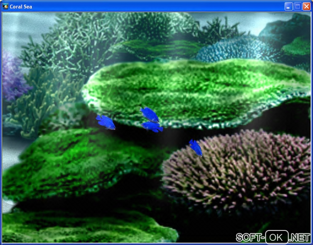 Screenshot №1 "Aquazone 2: Open Water"