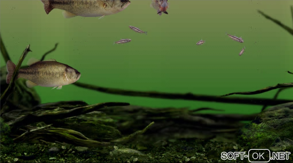 Screenshot №1 "Aquazone Bass Edition"