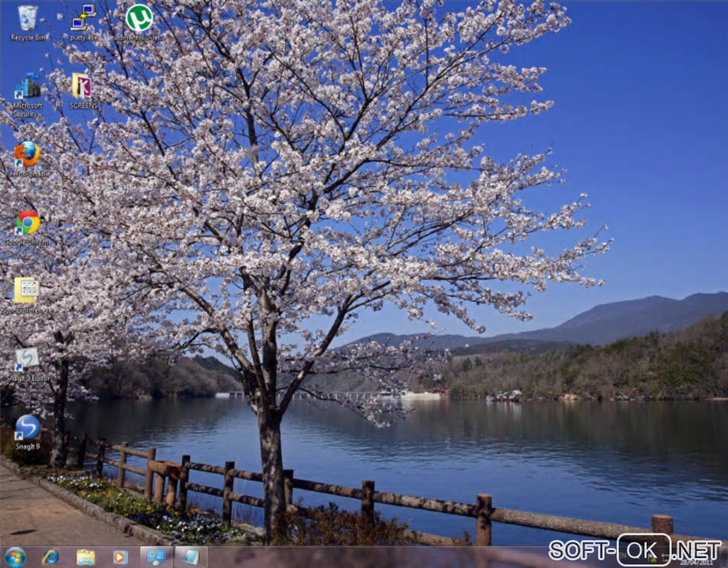 Screenshot №2 "Cherry Blossoms"