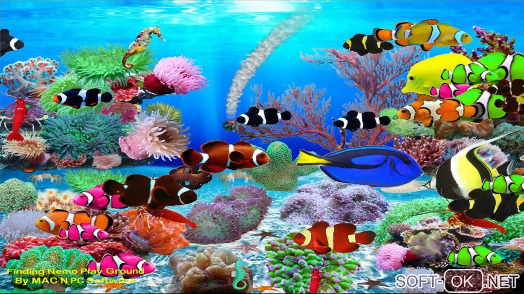 The appearance "Finding Nemo Aquarium"