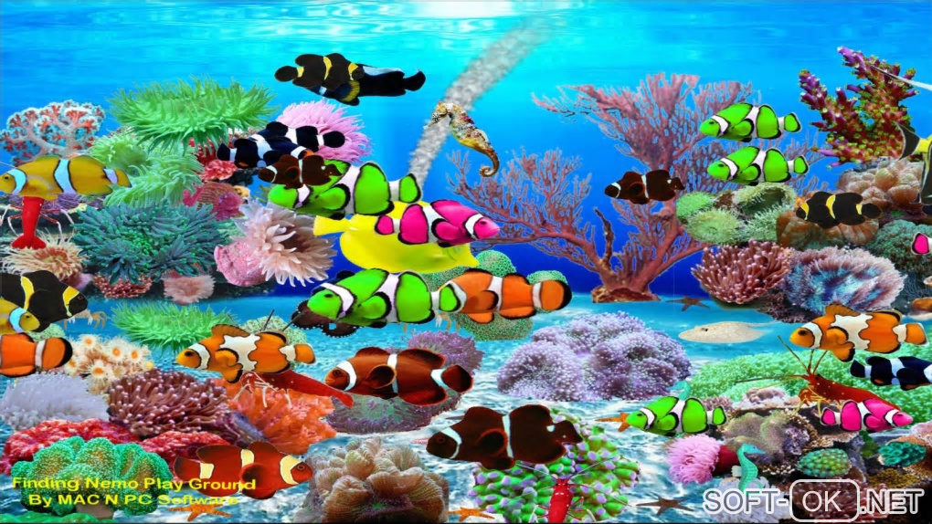 The appearance "Finding Nemo Aquarium"