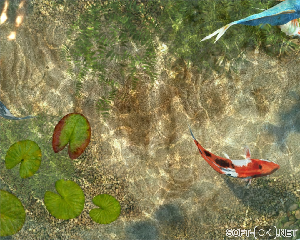 Screenshot №1 "Koi Fish 3D Screensaver"