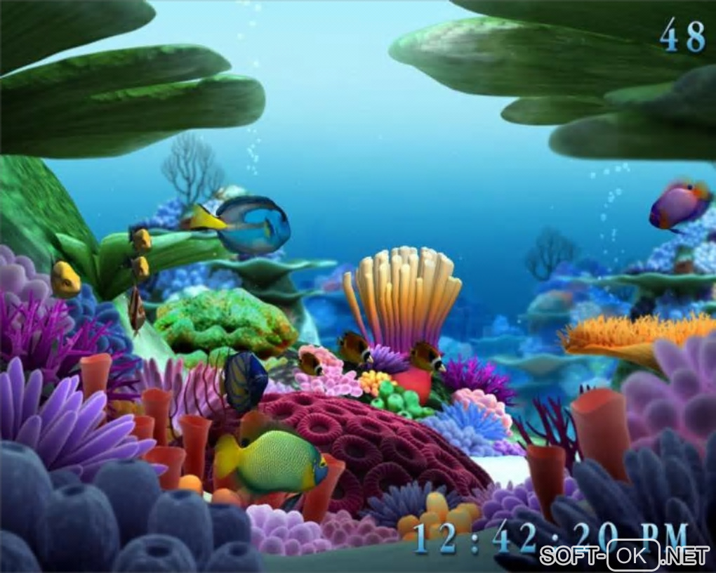 The appearance "Marine Life 3D Screensaver"