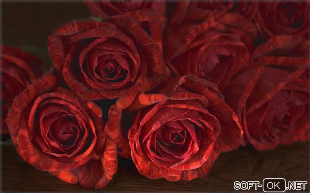 Screenshot №1 "Roses theme"