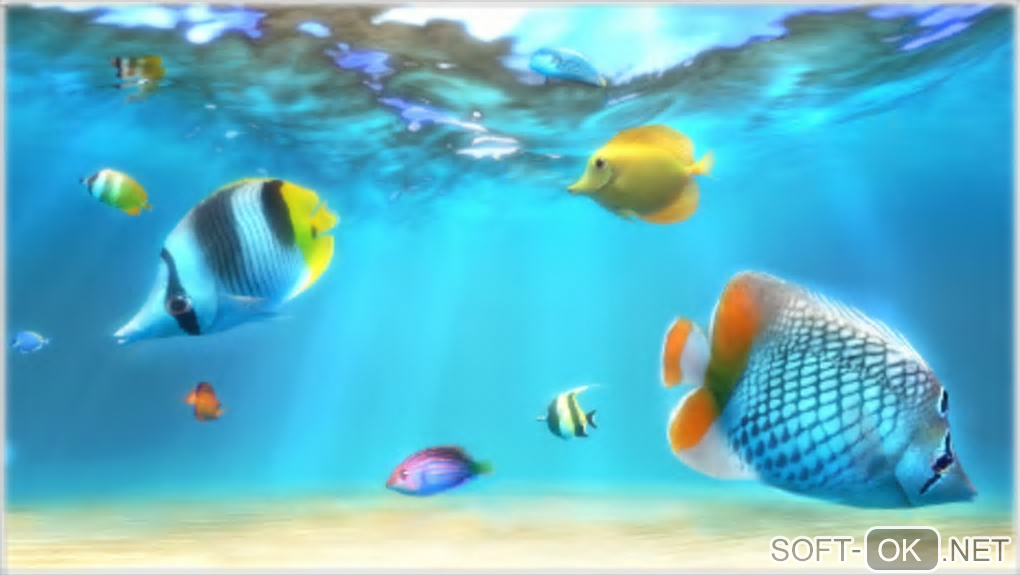 Screenshot №1 "Sim Aquarium 3D"