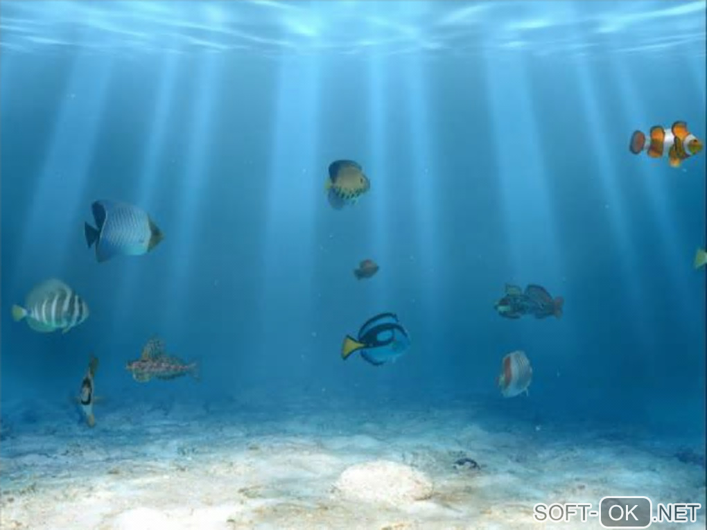 Screenshot №1 "Sim Aquarium Free Tank"