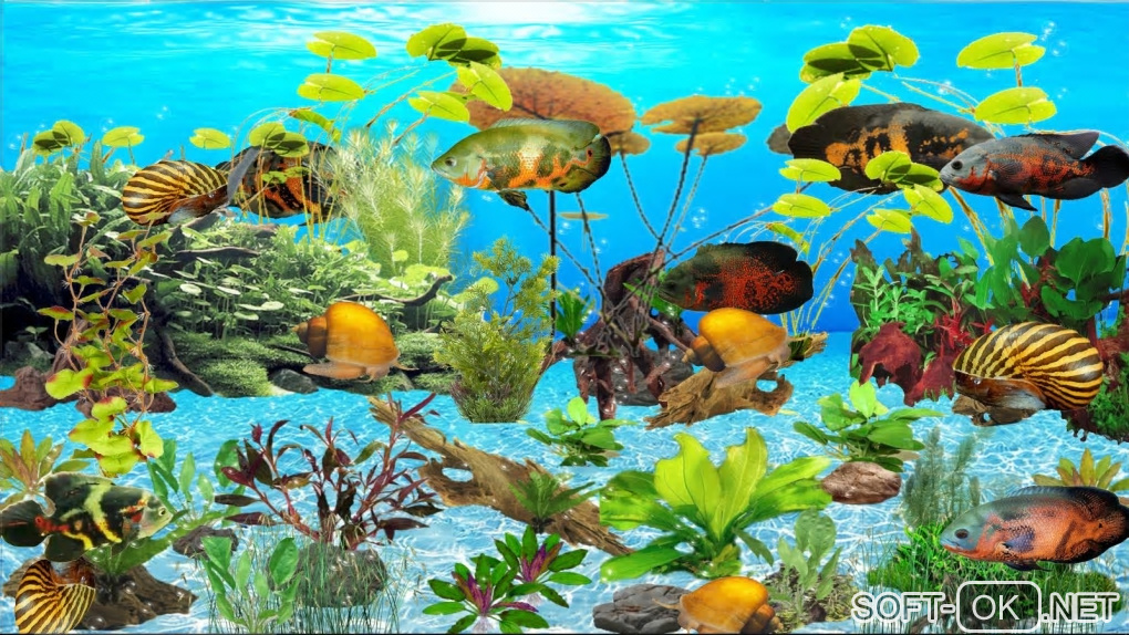Screenshot №2 "Tiger Oscar Aquarium"