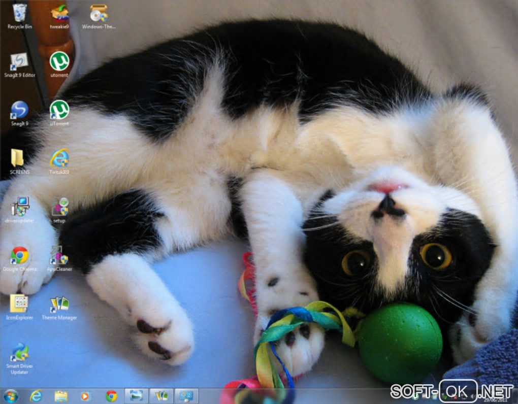 Screenshot №2 "Windows 7 Theme Manager"
