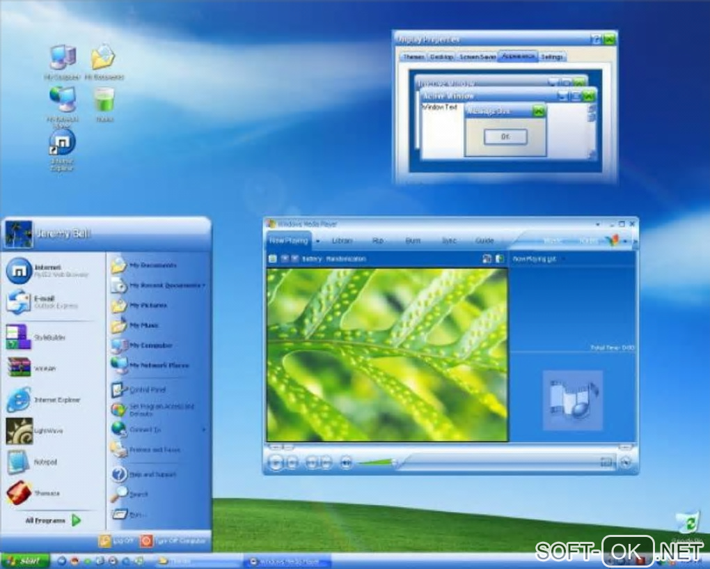 The appearance "Windows Media Player 10 Visual Style"