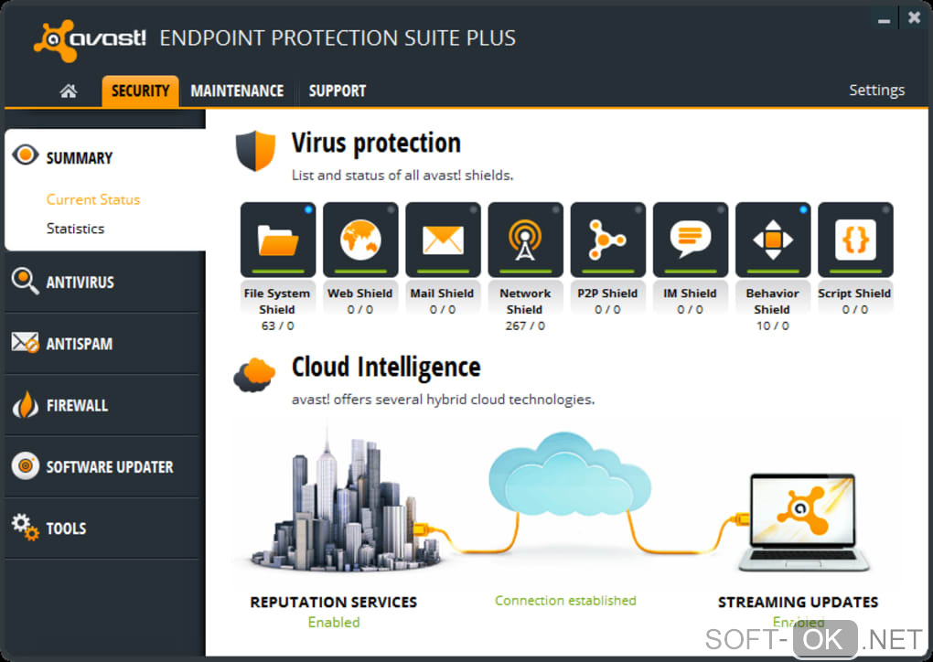 Screenshot №2 "avast! Endpoint Protection Suite Plus"
