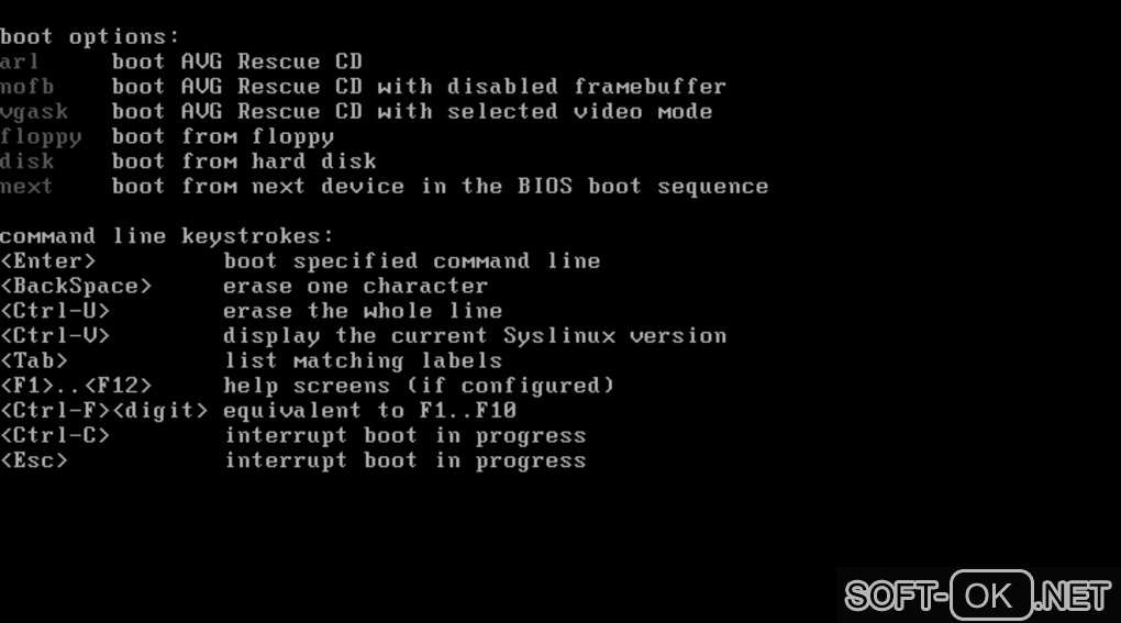Screenshot №2 "AVG Rescue USB"