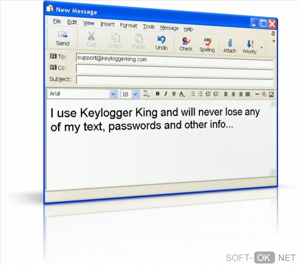 Screenshot №1 "Free Keylogger King"