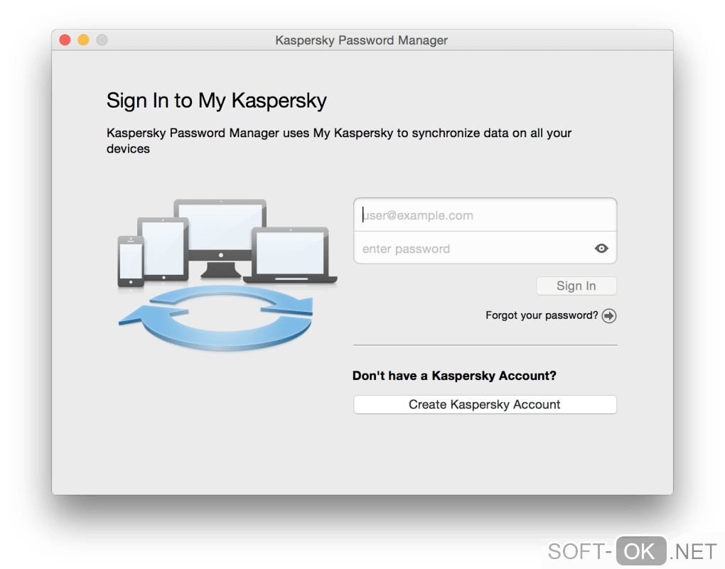 The appearance "Kaspersky Password Manager"