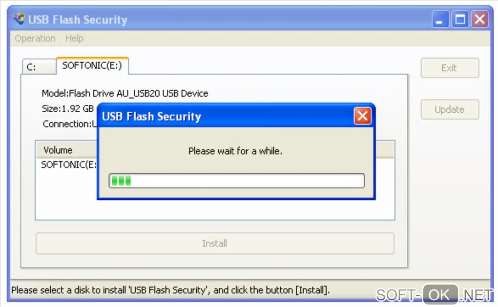 The appearance "USB Flash Security"