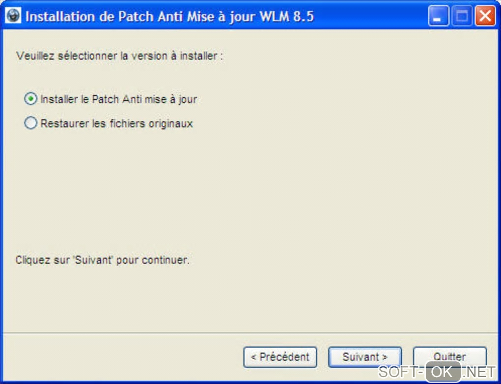 The appearance "Anti-Update Patch for Windows Live Messenger 8.5"