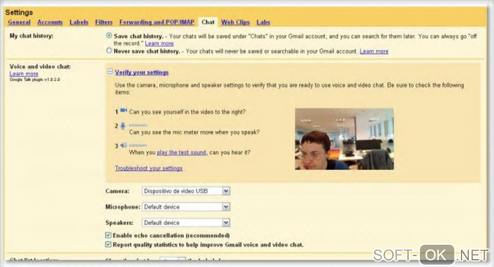 The appearance "Google Voice and Video Chat"