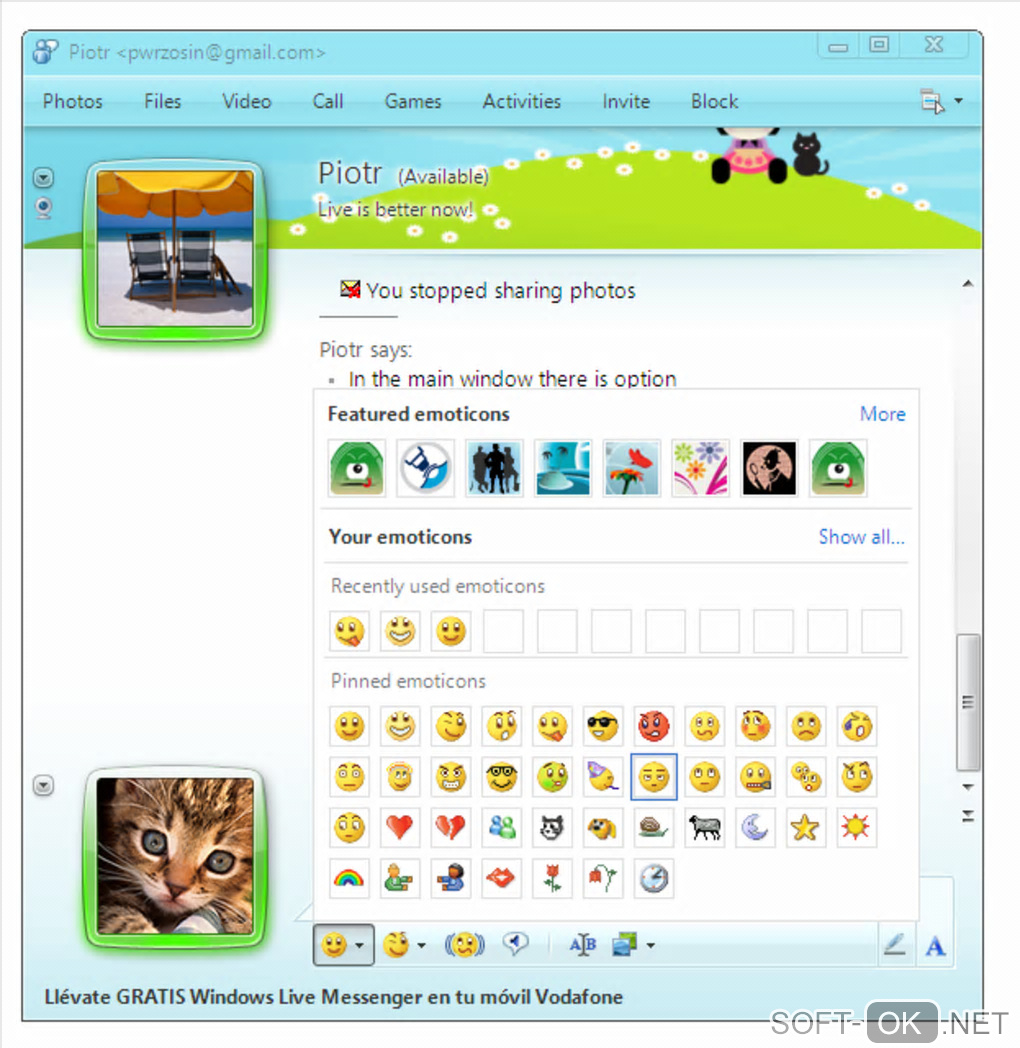 The appearance "Windows Live Messenger"