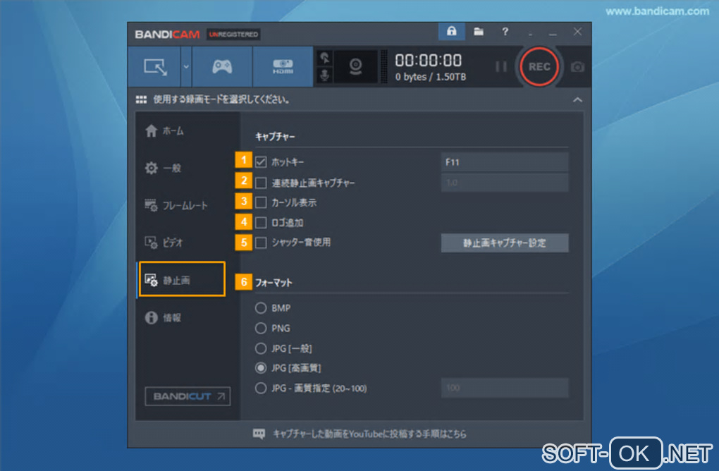 The appearance "Bandicam Screen Recorder"