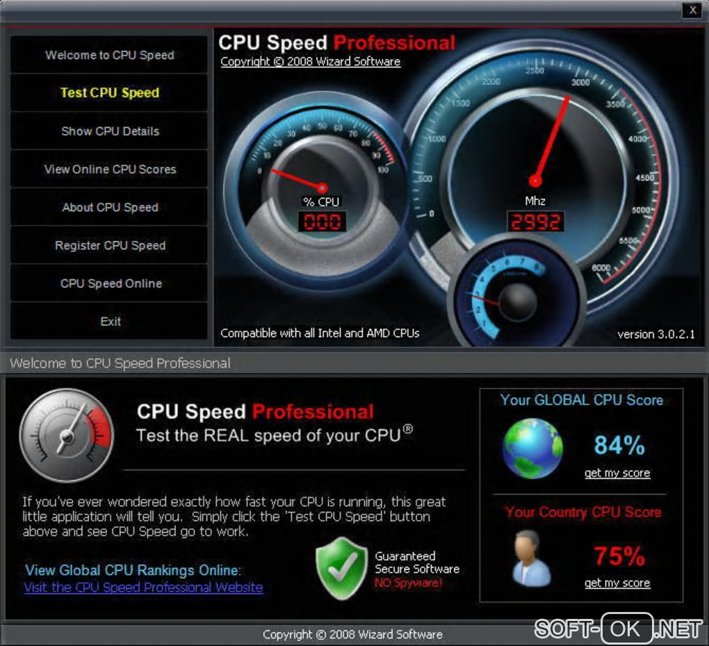 The appearance "CPU Speed Professional"
