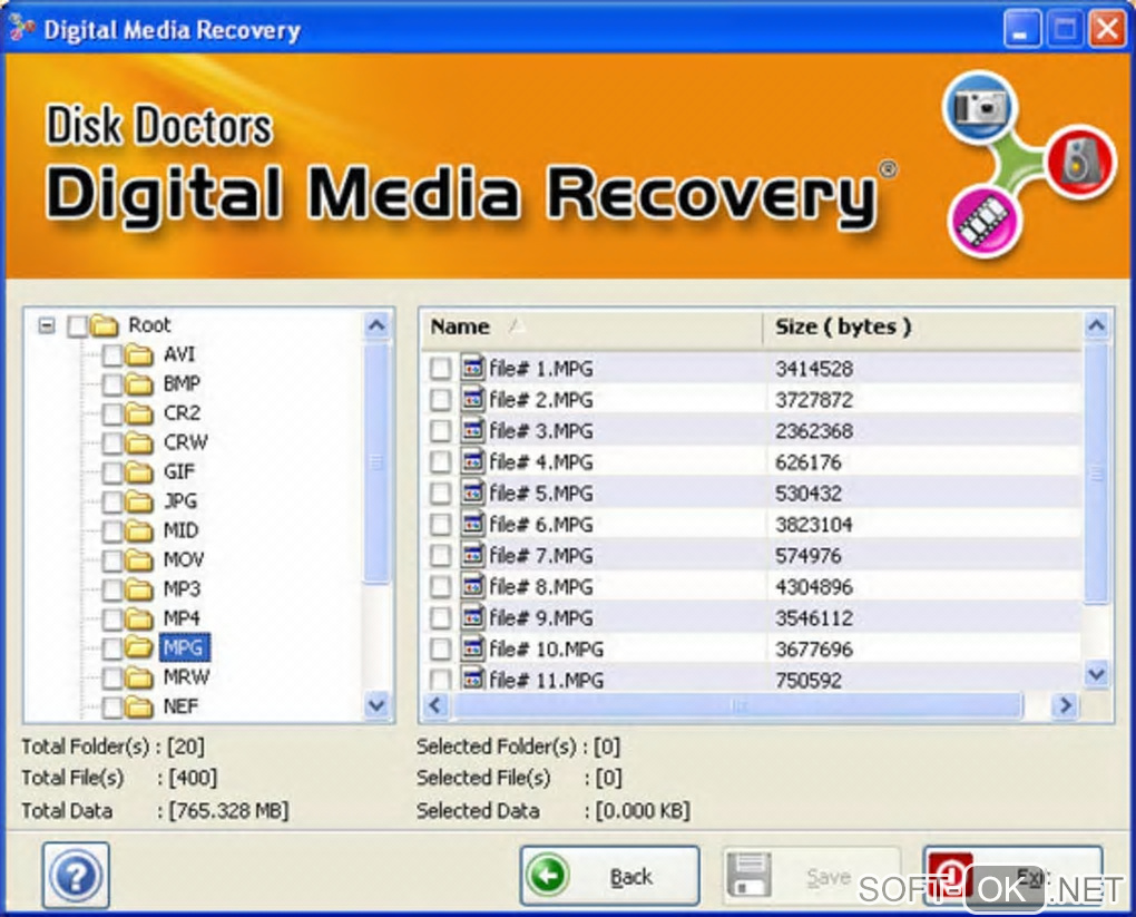 The appearance "Disk Doctors Digital Media Recovery"