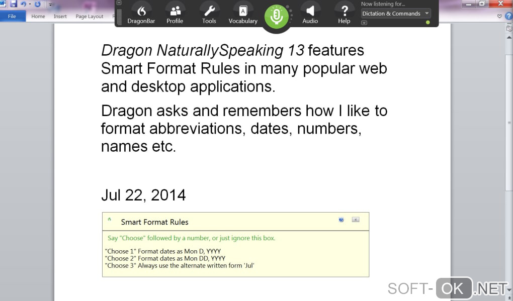 The appearance "Dragon NaturallySpeaking"