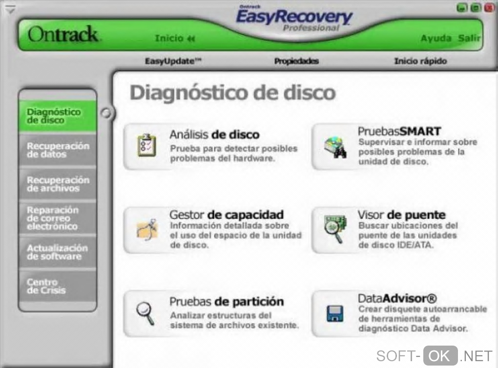 The appearance "EasyRecovery Professional"