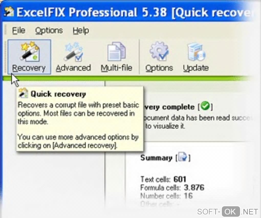 The appearance "ExcelFIX Excel File Recovery"