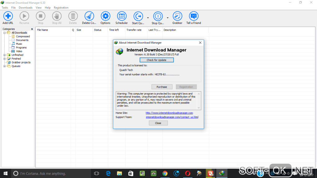 The appearance "Internet Download Manager"