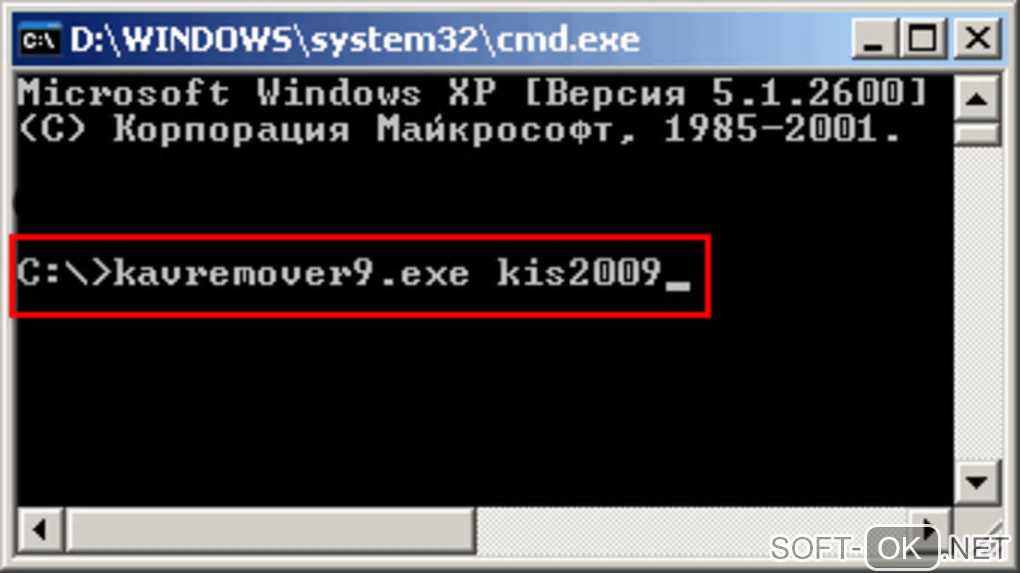 The appearance "Kaspersky Anti-Virus Remover"