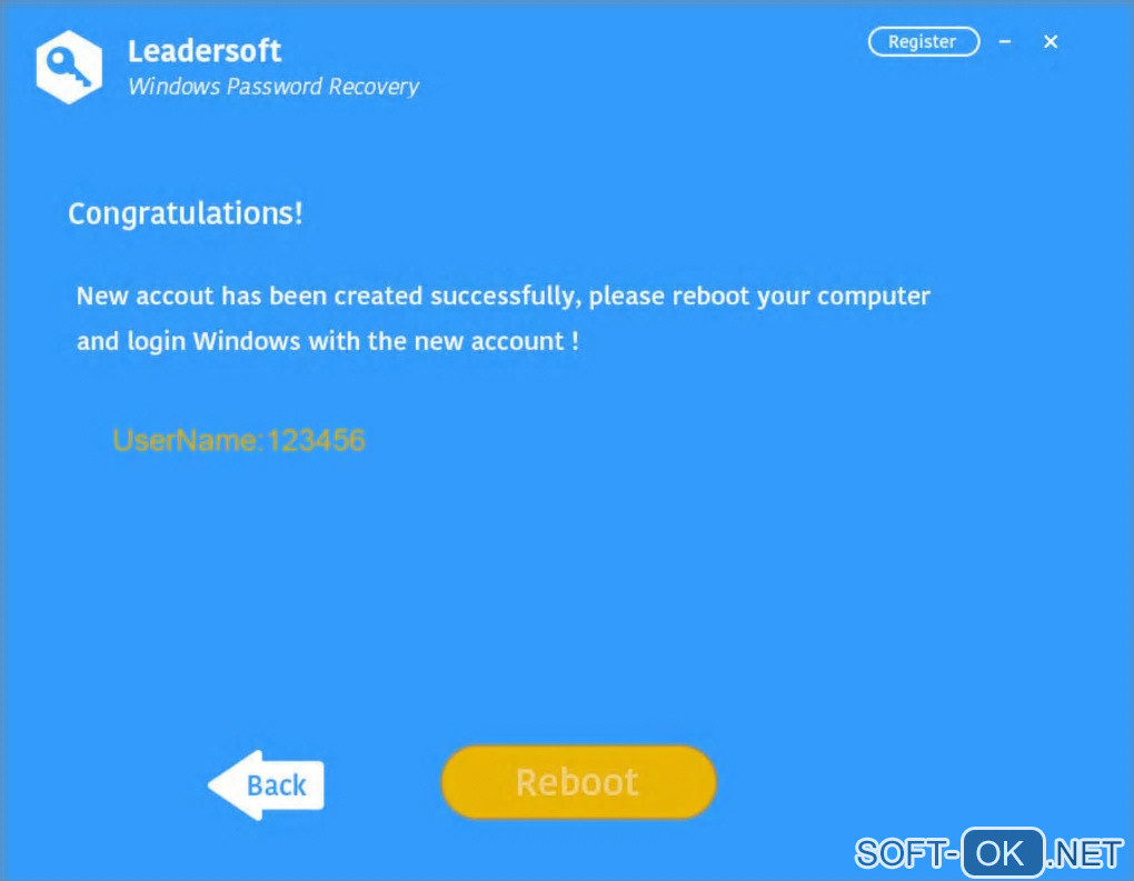 The appearance "Leadersoft Windows Password Recovery"