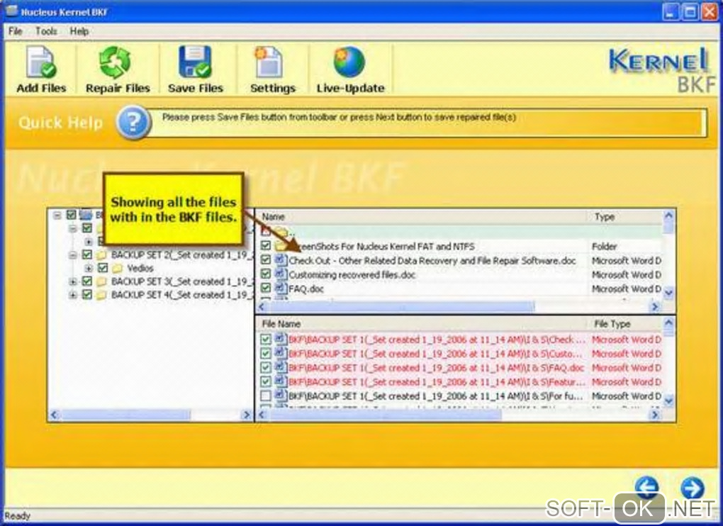 Screenshot №1 "Nucleus Kernel BKF Repair Software"