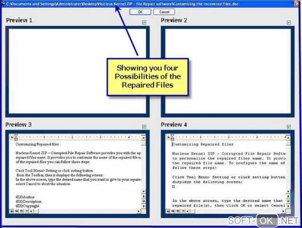 Screenshot №1 "Nucleus Kernel Word Document Repair Software"