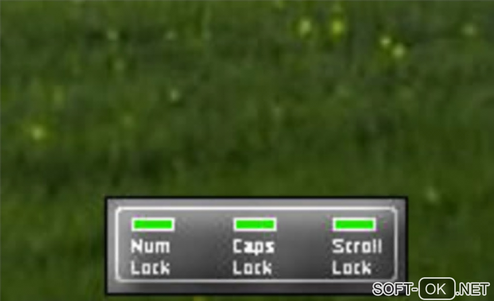 Screenshot №1 "NumCapsScroll Indicator"