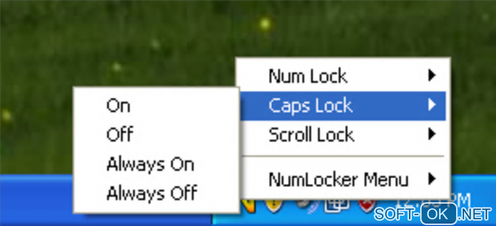 Screenshot №2 "NumLocker"