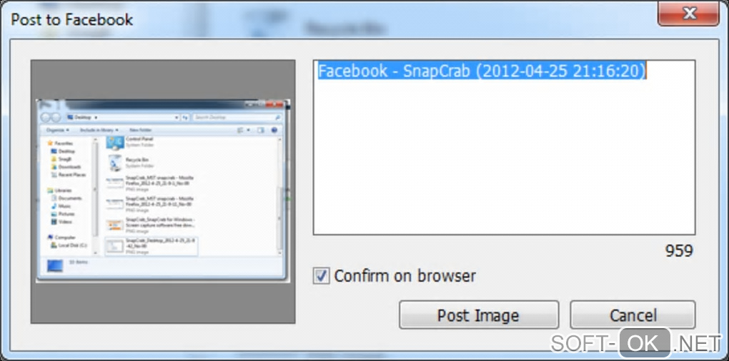The appearance "SnapCrab for Windows"