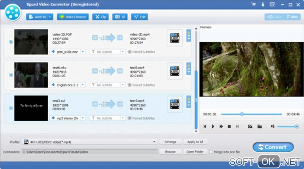 The appearance "Tipard Video Converter"